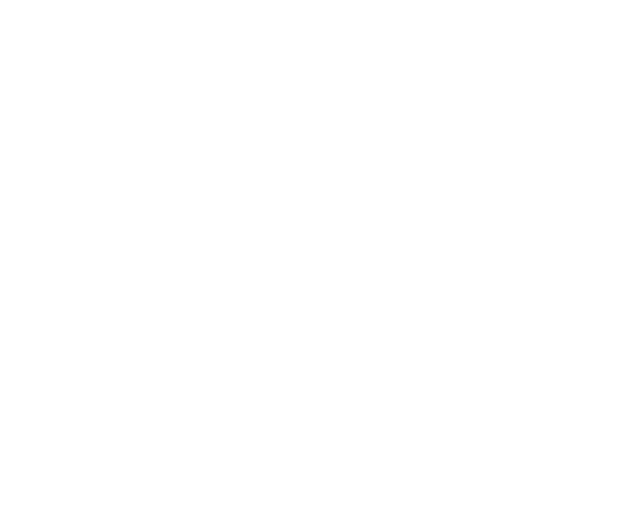 LaVilla Dance Alumni